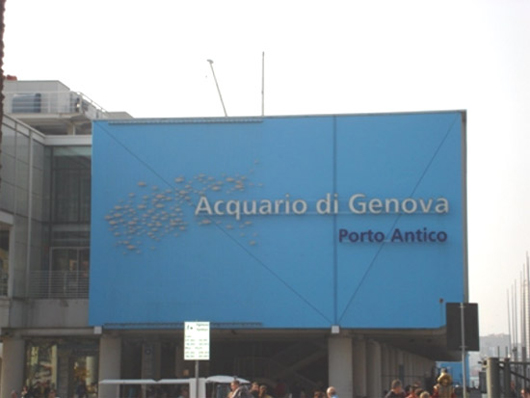 Acquario (foto Francesco Scarpulla)