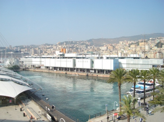 Acquario (foto Francesco Scarpulla)